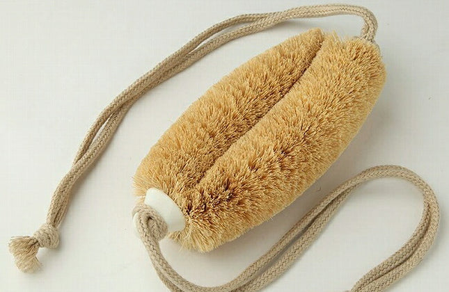 亀の子タワシ ニシオくん ひも付